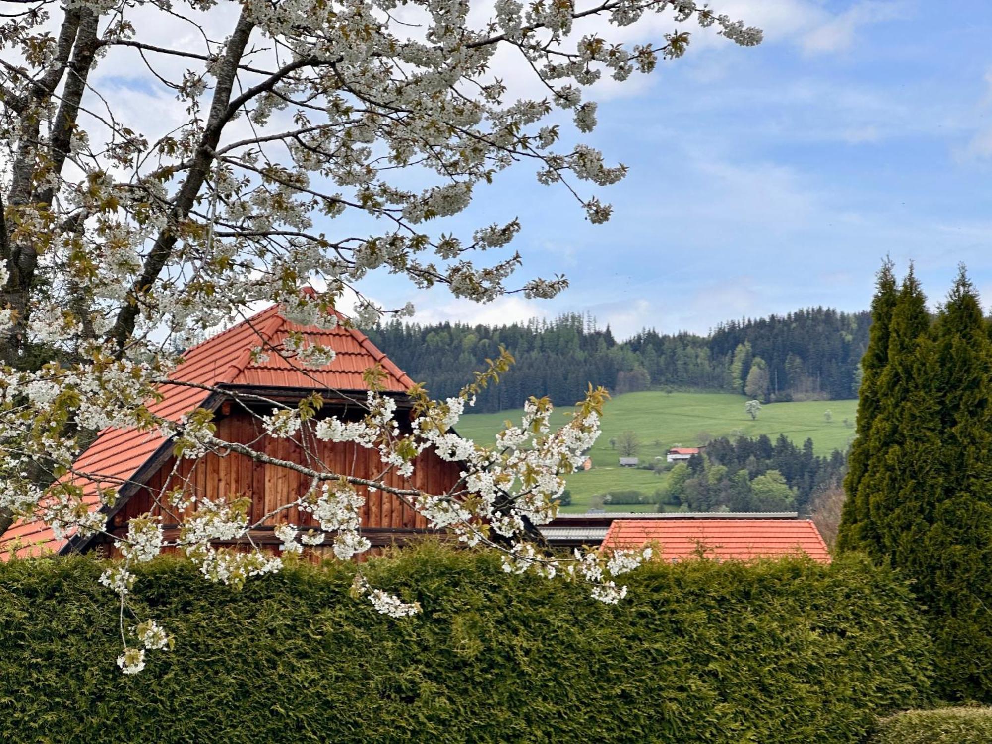 Romantic Chalet - Alpine Getaway Salzkammergut Viechtwang المظهر الخارجي الصورة