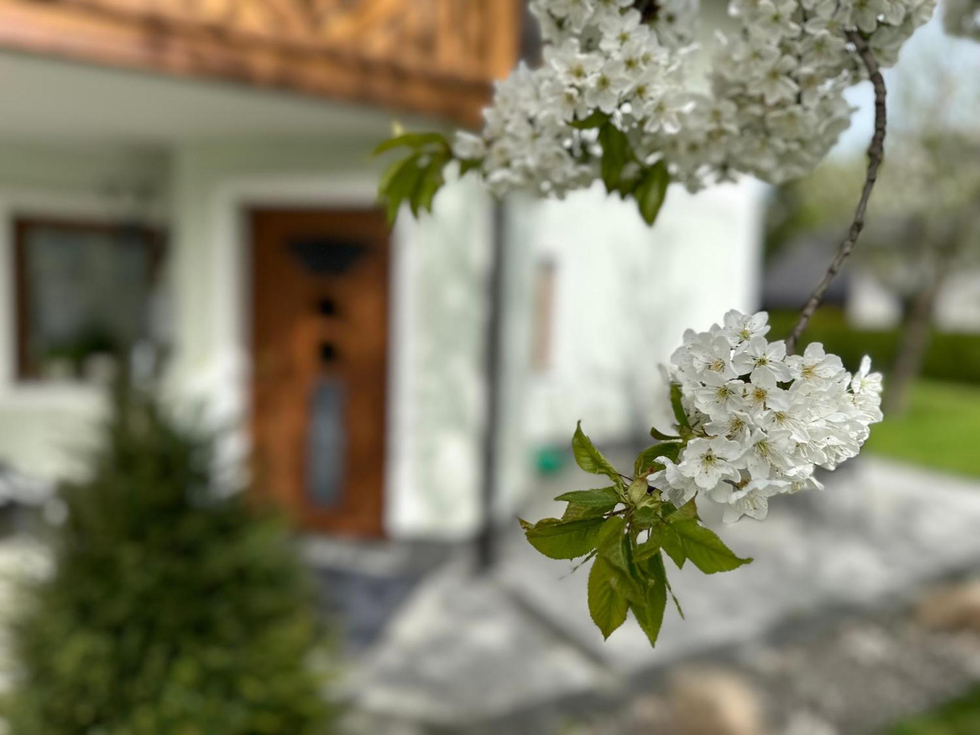 Romantic Chalet - Alpine Getaway Salzkammergut Viechtwang المظهر الخارجي الصورة